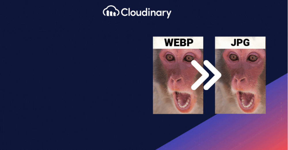 Batch Convert WEBP to Animated GIF  Using the WEBP to GIF Converter  Software 