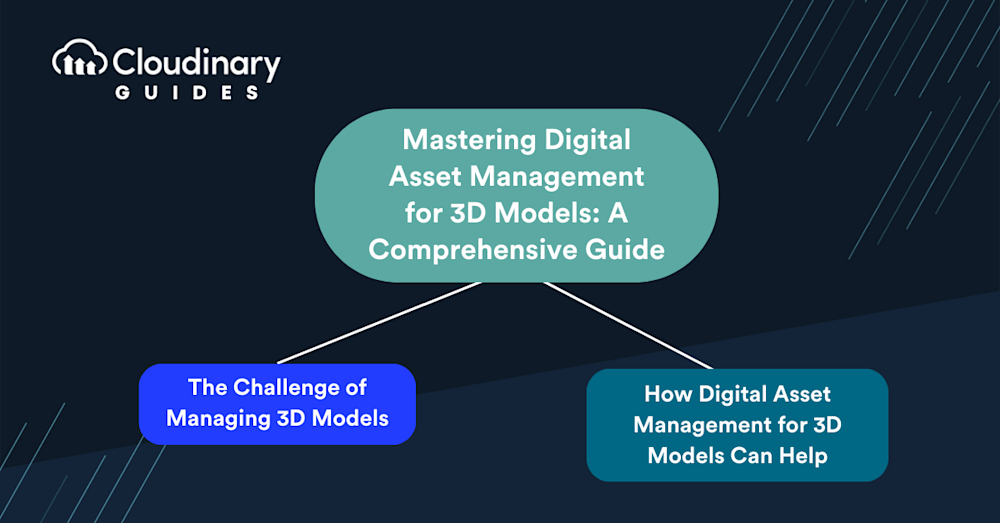 3d asset management