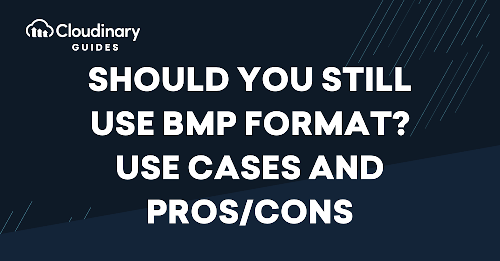 bmp format