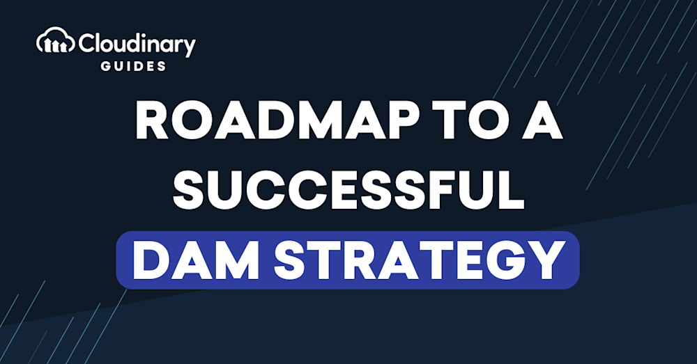 dam roadmap strategy
