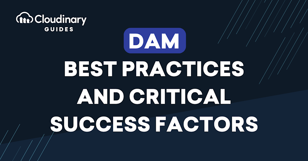 dam best practices