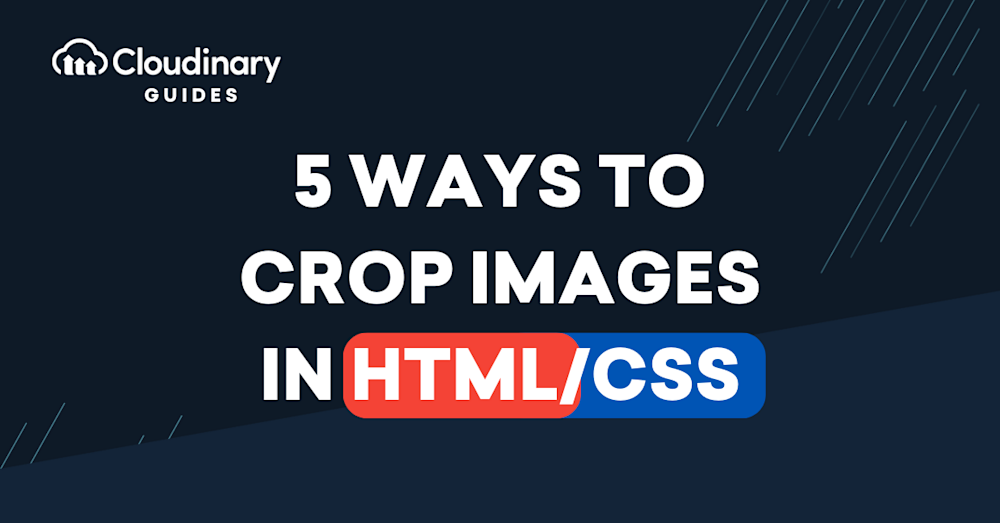 HTML Image Padding  How does Image Padding work in HTML or CSS?