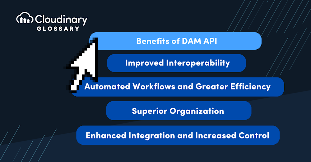 dam api