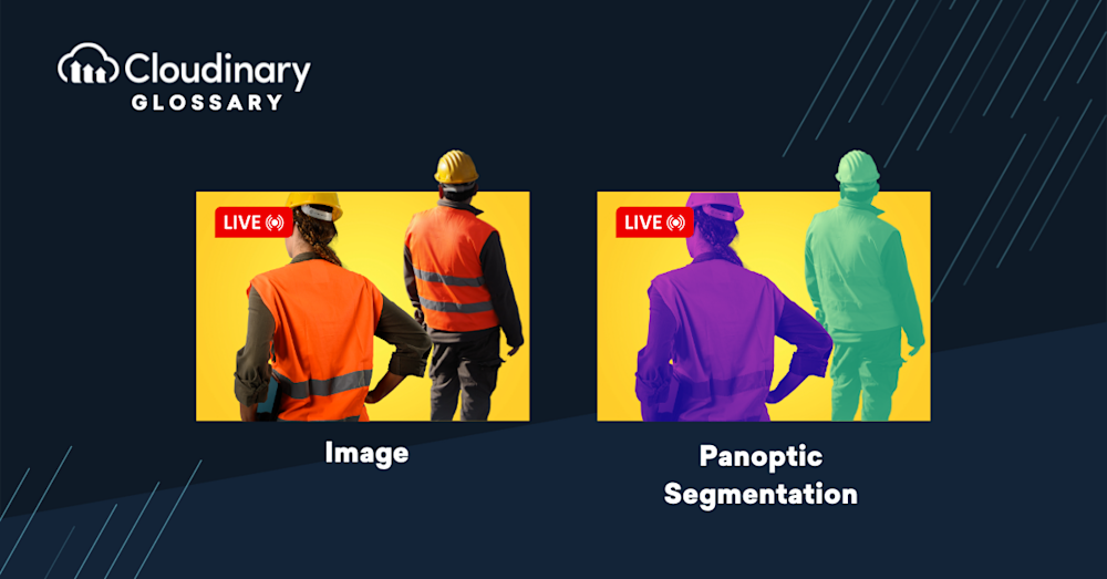 panoptic segmentation