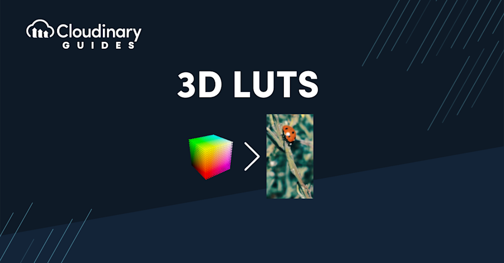 3D LUTs Image