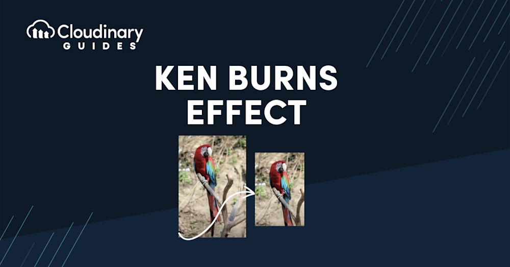 Ken Burns Effect Image