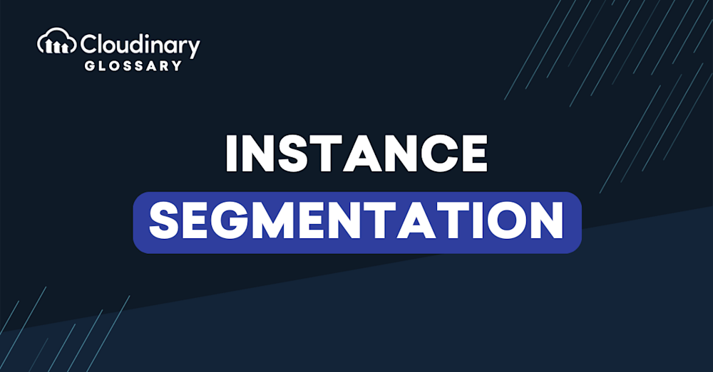 Instance Segmentation main image