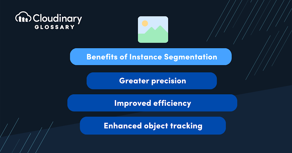 Instance Segmentation secondary image