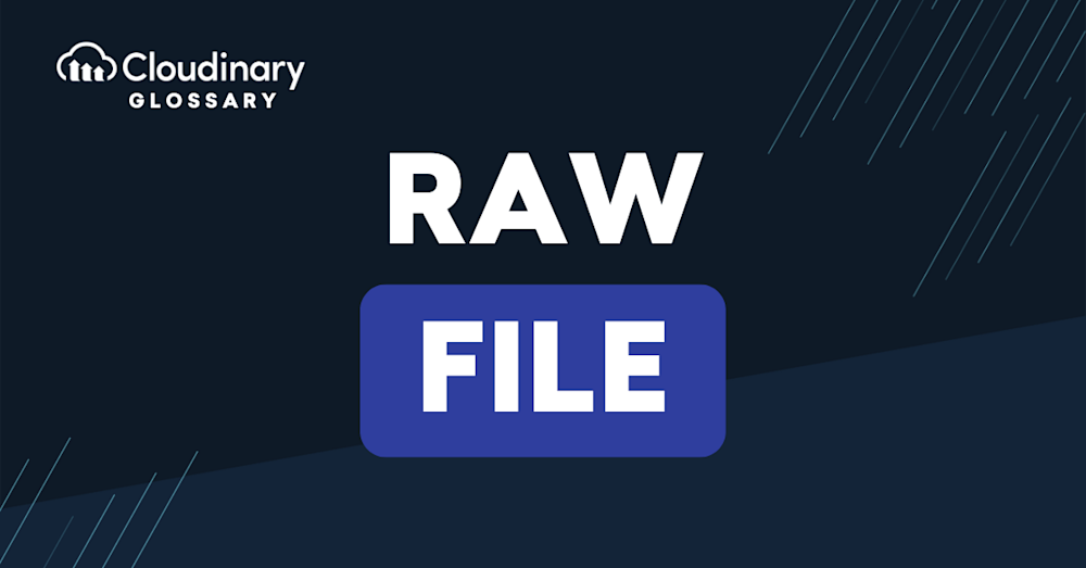 RAW File main image
