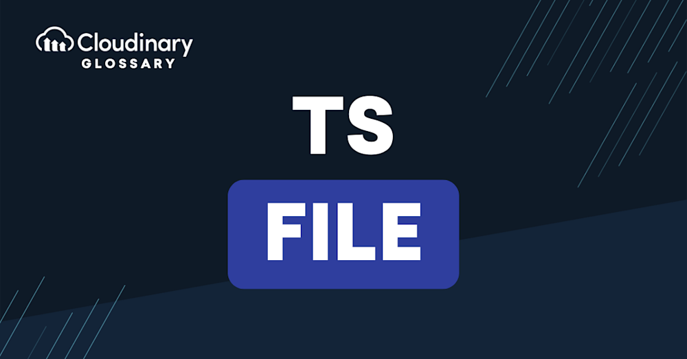 TS File main image