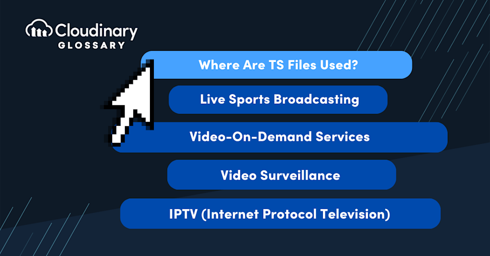 TS File secondary image