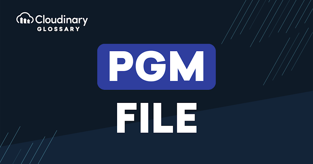PGM File main image