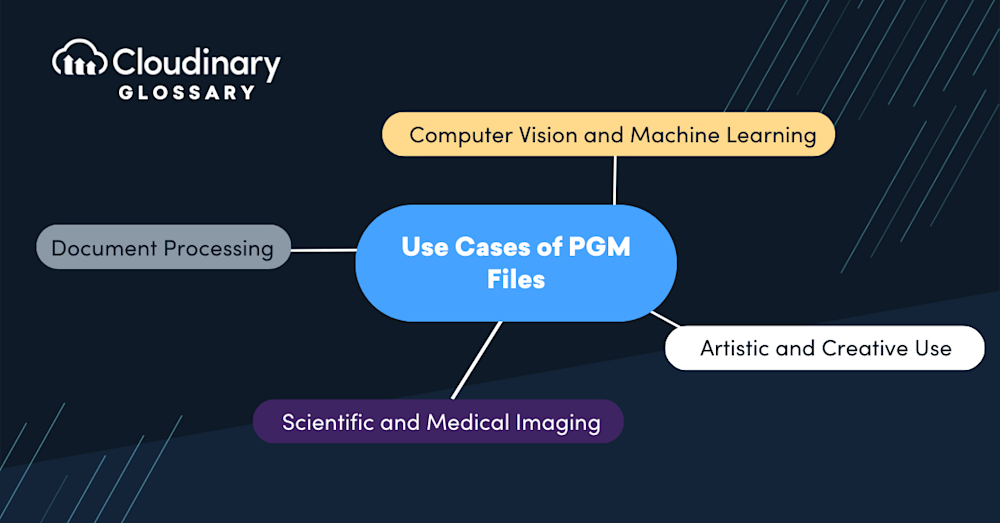 PGM File secondary image