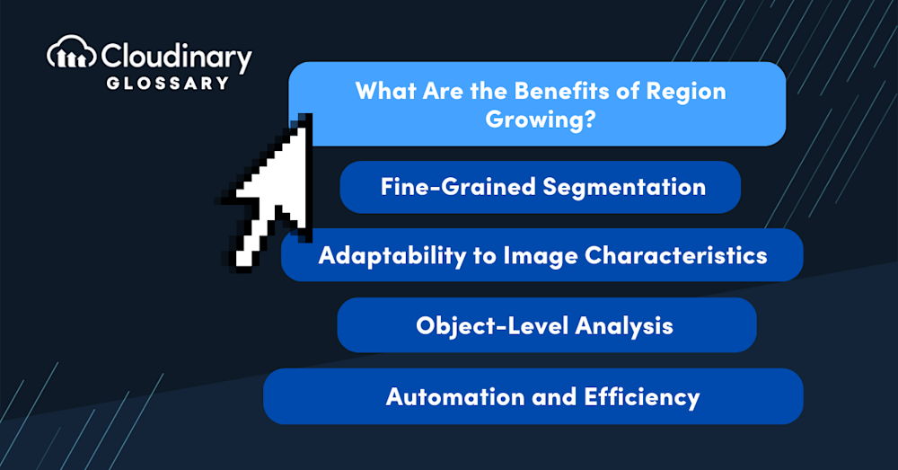 Region Growing secondary image