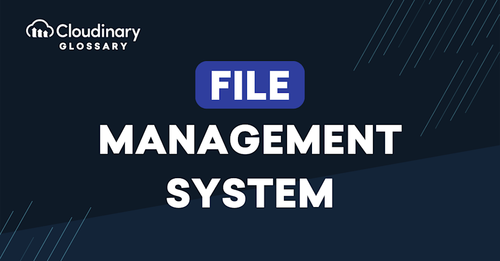 File Management System main image