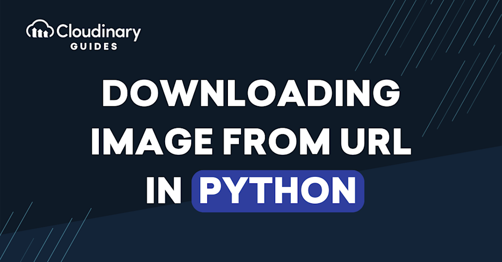 Download Image From URL Python