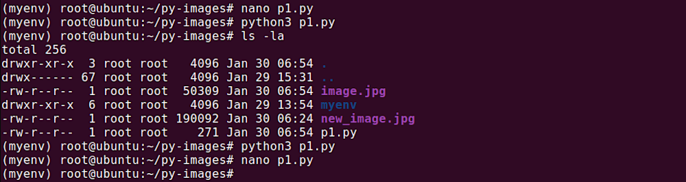 Download image with python requests sales