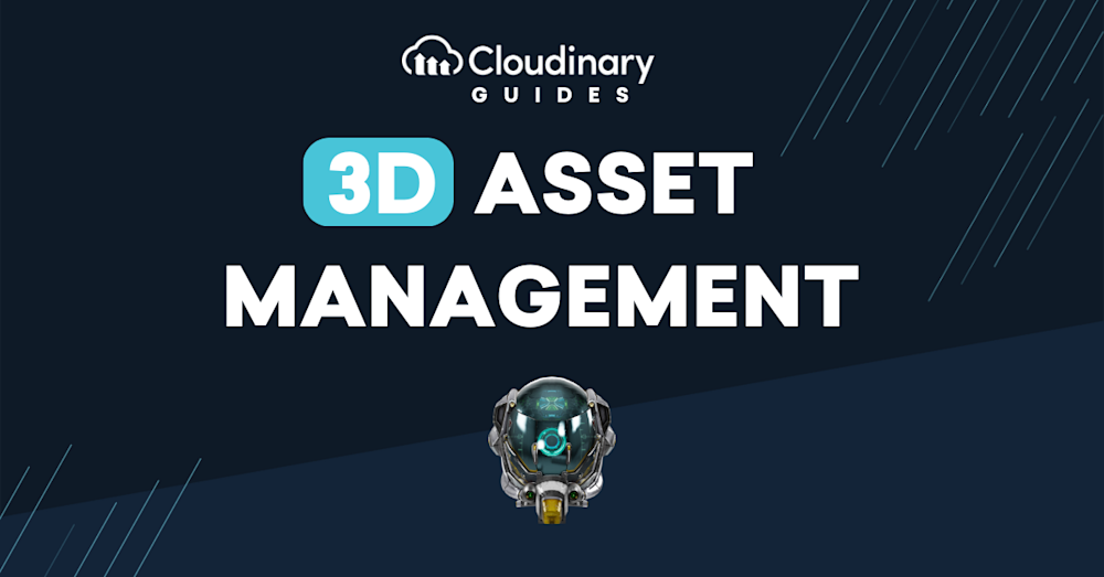 3d asset management