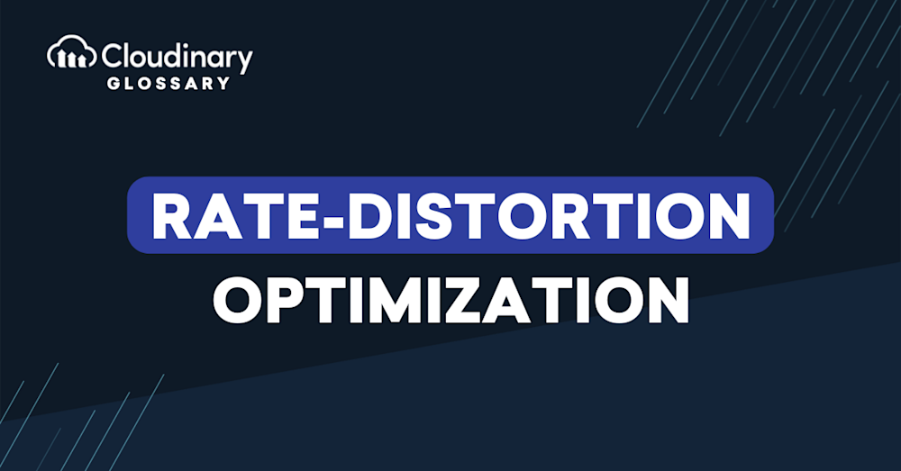 rate distortion optimization
