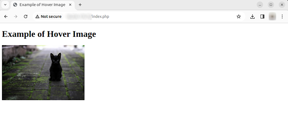 change image on hover html