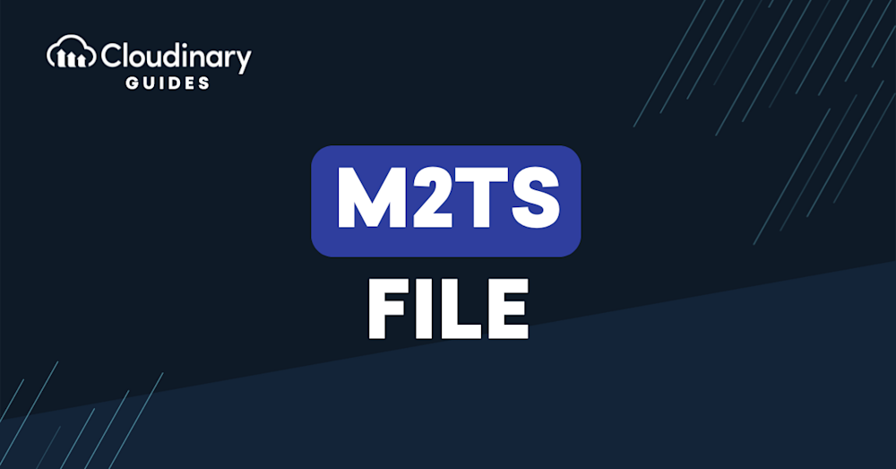 M2TS File