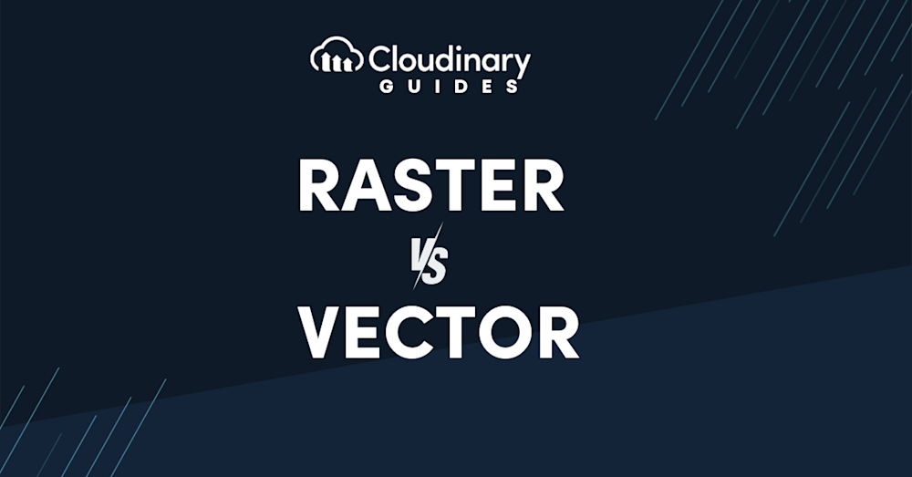 raster vs vector