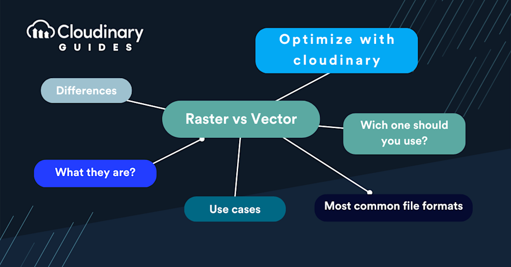 raster vs vector