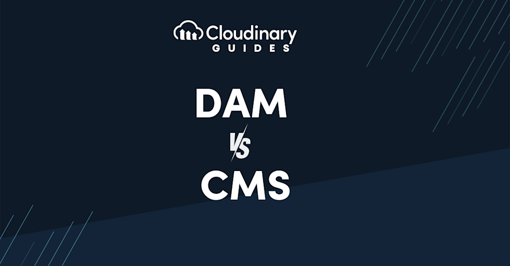 dam vs cms