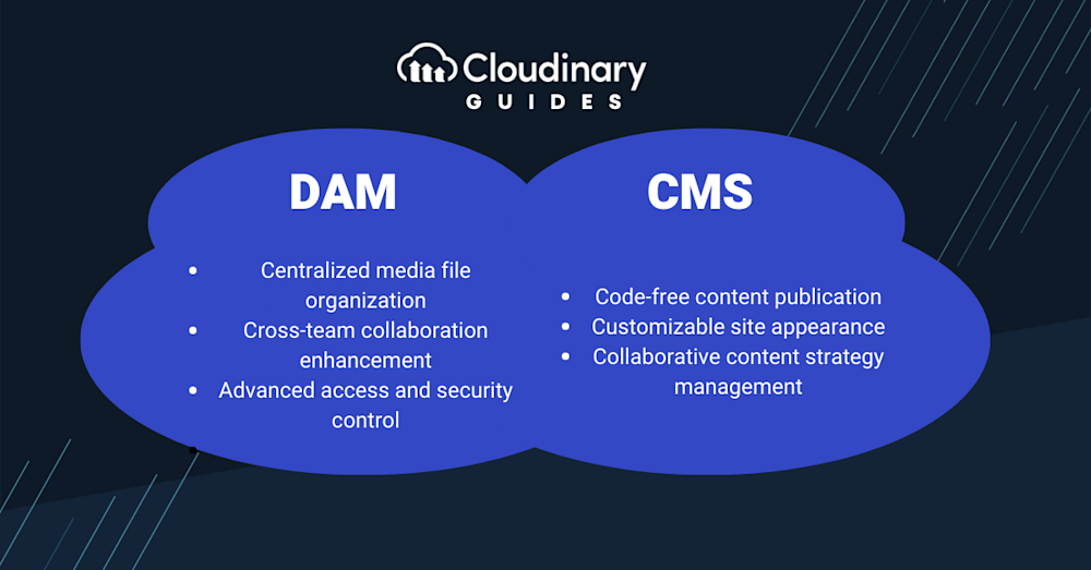 dam vs cms