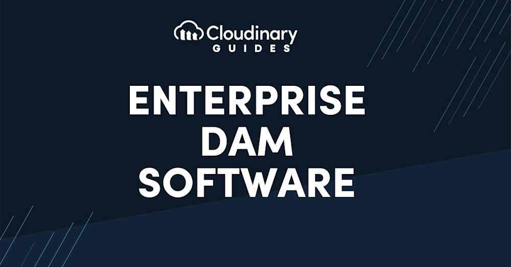 enterprise dam software