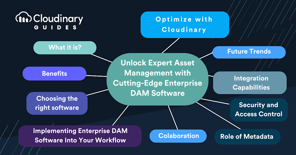 enterprise dam software