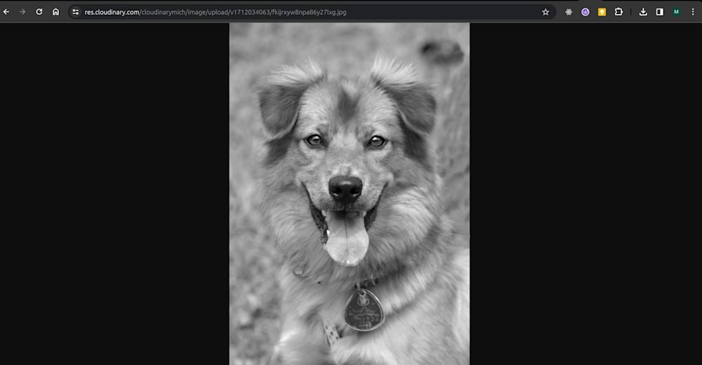 grayscale images python