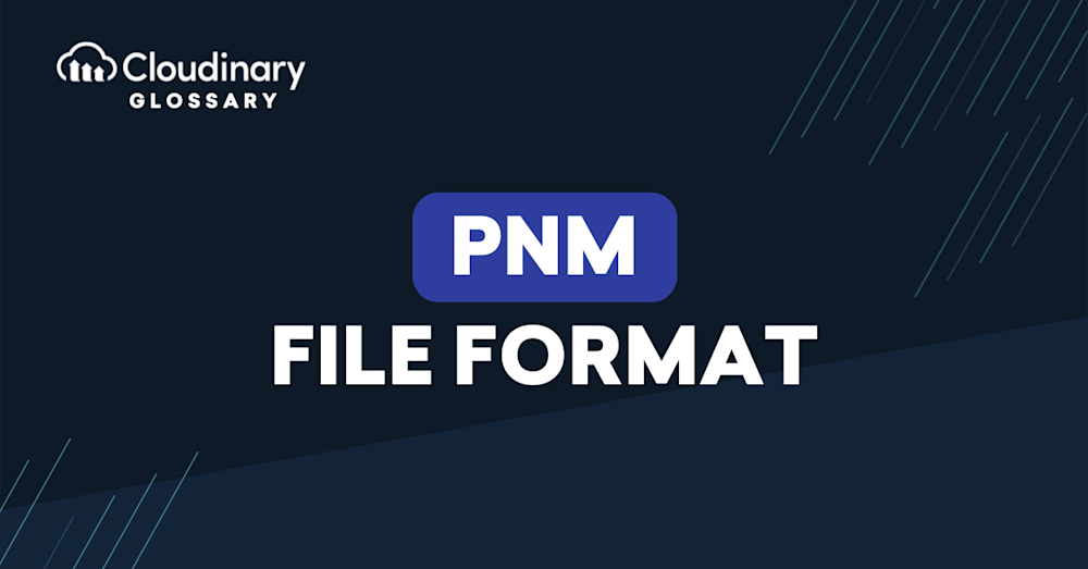 pnm file format
