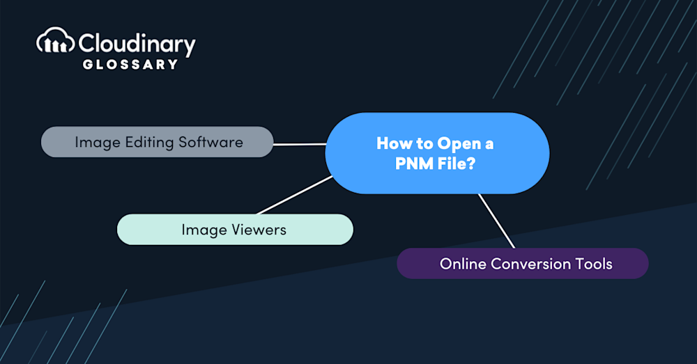 pnm file format