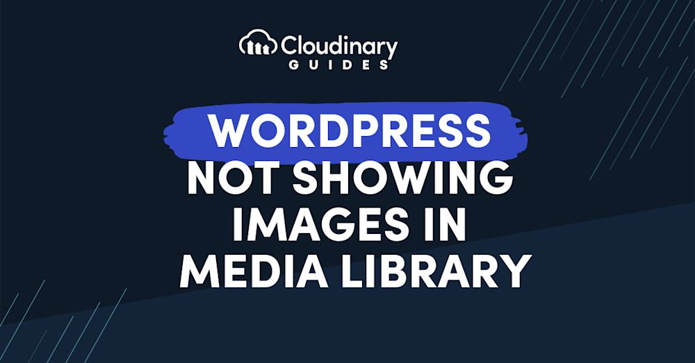 wordpress not showing images in media library