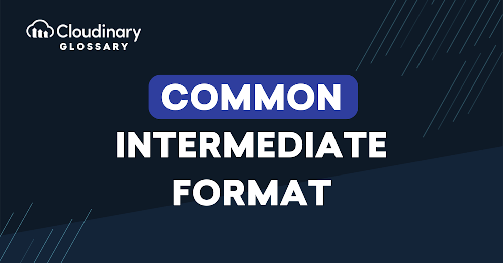 Common Intermediate Format