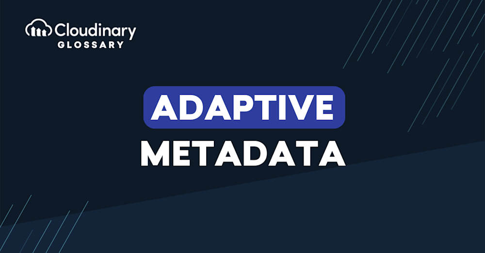 Adaptive Metadata