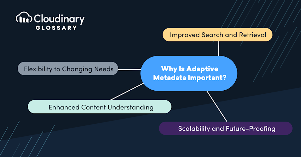 Adaptive Metadata