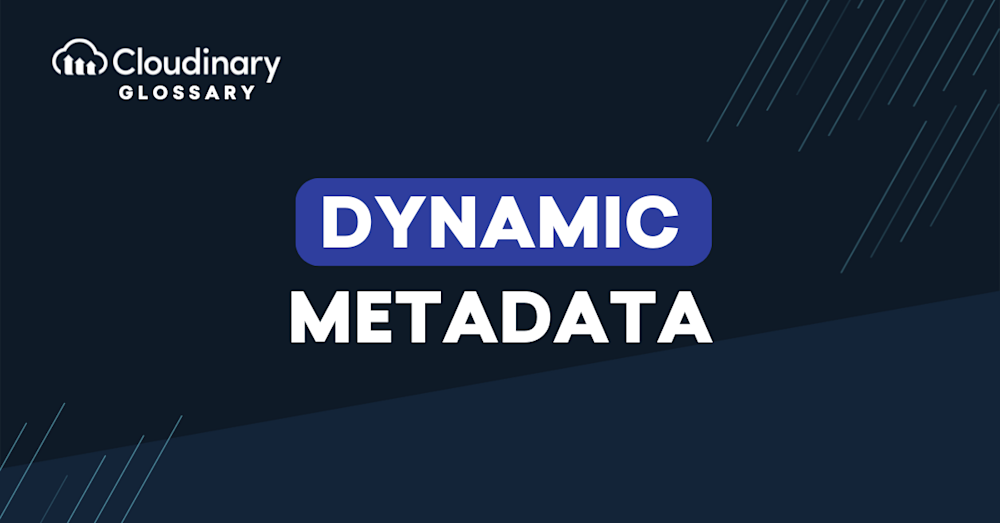 Dynamic Metadata