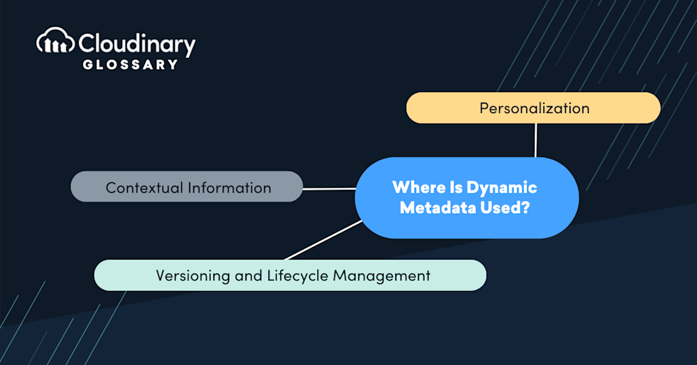 Dynamic Metadata