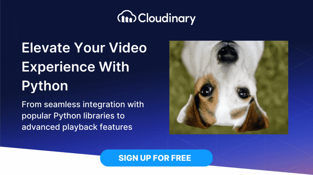 python video player