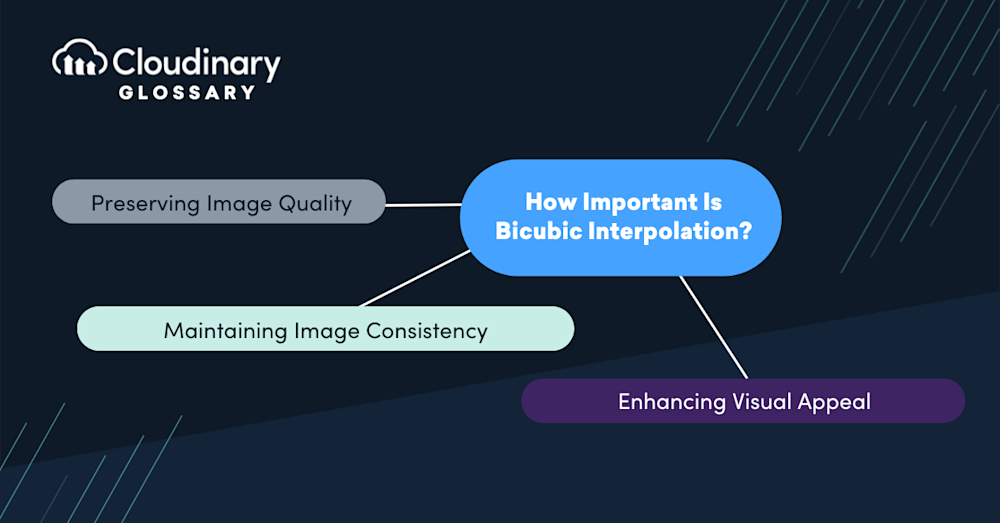 Bicubic Interpolation | Cloudinary