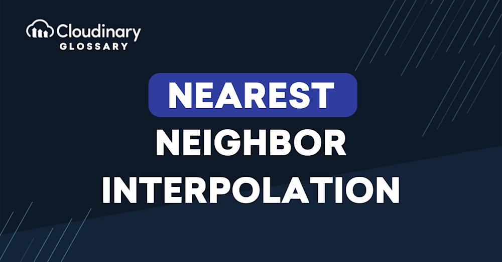 Nearest Neighbor Interpolation