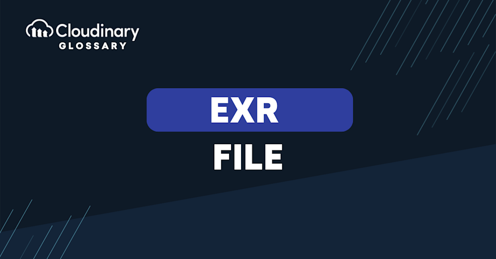 EXR File