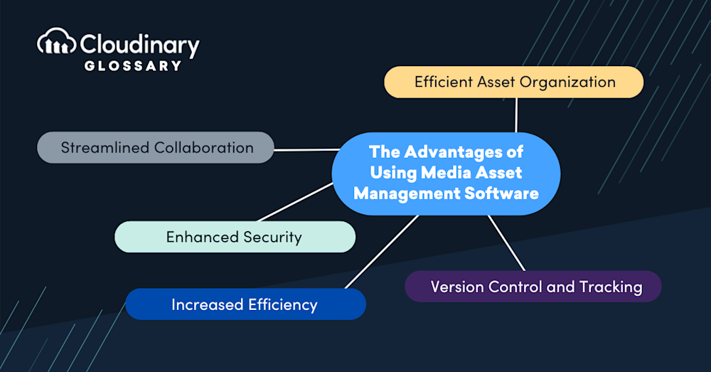 Media Asset Management Software