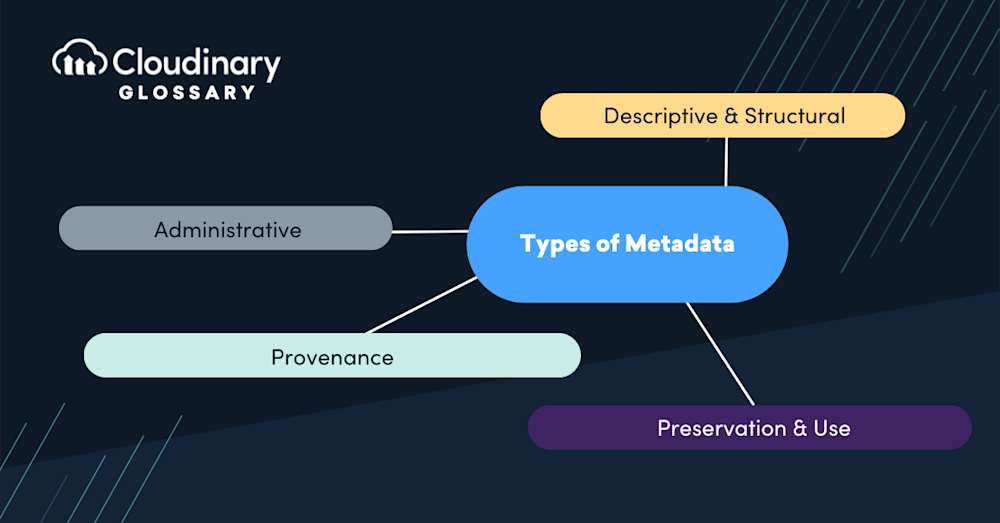 Metadata