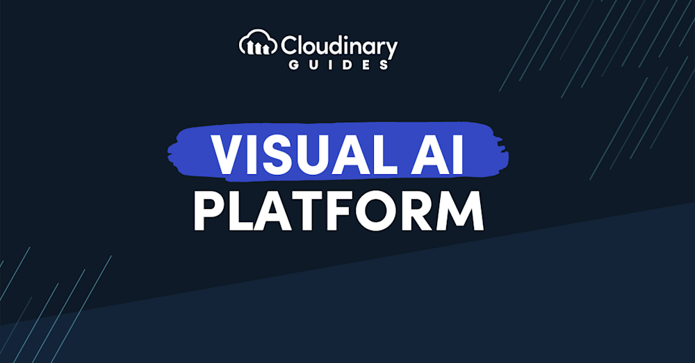 visual_ai_platform
