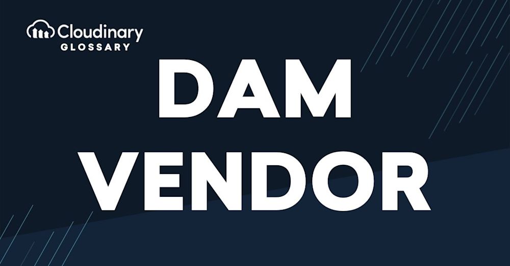 DAM Vendor