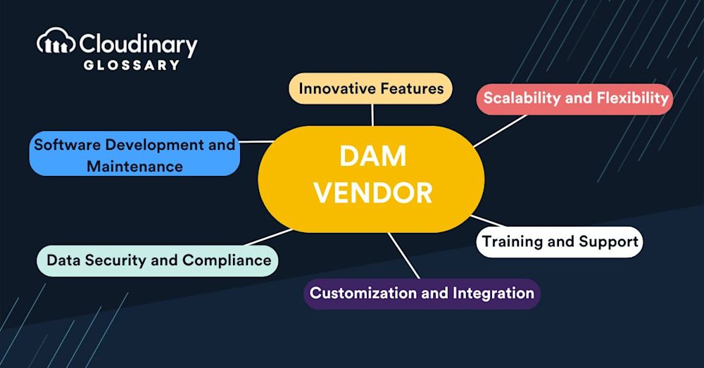 DAM Vendor