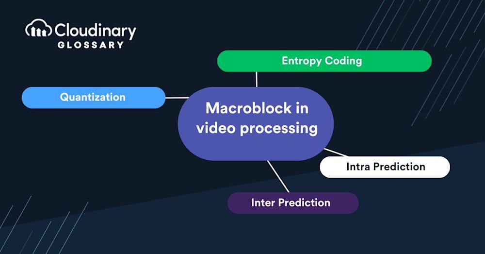 Macroblock